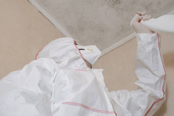 Best Certified Mold Removal  in Suncook, NH